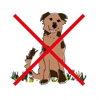 9050 Piktogramm "Hunde verboten"